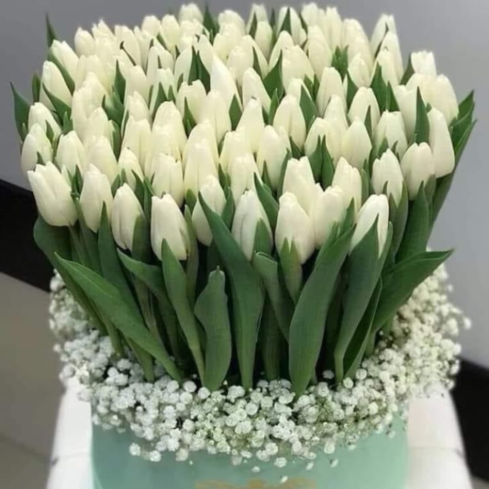 Meet your Posher, Malgorzata